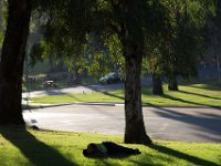 Elysian Park - area 4-53