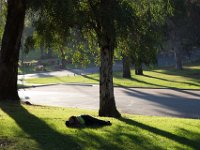 Elysian Park - area 4-54