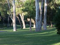 Elysian Park - area 4-56