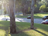 Elysian Park - area 4-63