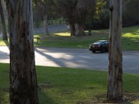 Elysian Park - area 4-64