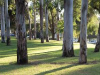 Elysian Park - area 4-66