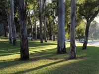 Elysian Park - area 4-67