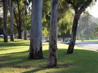 Elysian Park - area 4-69