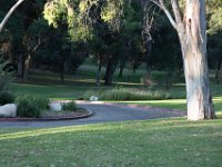 Elysian Park - area 4-71