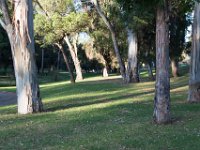 Elysian Park - area 4-72