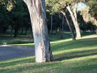 Elysian Park - area 4-73