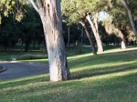 Elysian Park - area 4-74