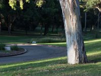 Elysian Park - area 4-75