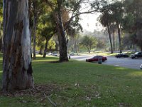 Elysian Park - area 4-79