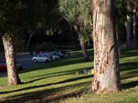 Elysian Park - area 4-8