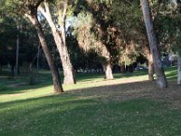 Elysian Park - area 4-81