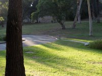 Elysian Park - area 4-82