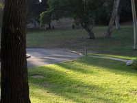 Elysian Park - area 4-83