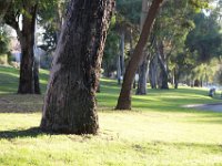 Elysian Park - area 4-86