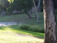 Elysian Park - area 4-91