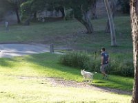 Elysian Park - area 4-92