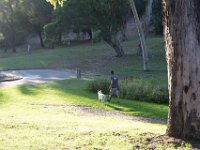 Elysian Park - area 4-94