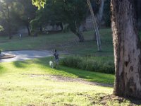 Elysian Park - area 4-95