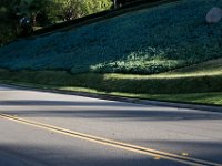 Oak Crest Dr - Westlake Village-15