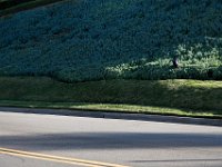 Oak Crest Dr - Westlake Village-17