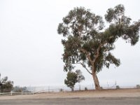 Palisades Bluffs Park-13