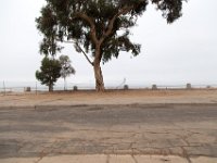 Palisades Bluffs Park-43