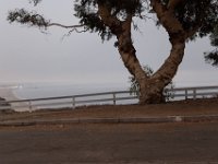 Palisades Bluffs Park-47