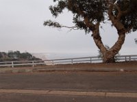 Palisades Bluffs Park-48