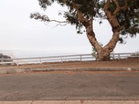 Palisades Bluffs Park-52