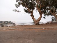 Palisades Bluffs Park-54