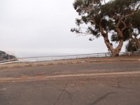 Palisades Bluffs Park-57