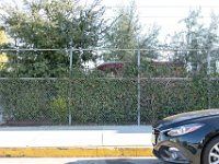 vw-November 08, 2019-00268