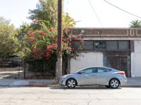 vw-November 08, 2019-00121