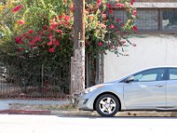 vw-November 08, 2019-00122