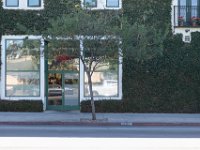 vw-November 08, 2019-00084