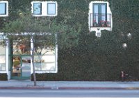 vw-November 08, 2019-00085