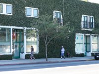 vw-November 08, 2019-00087