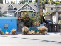 vw-November 08, 2019-00072