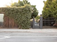 vw-November 08, 2019-00340