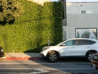 vw-November 08, 2019-00371