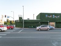 vw-November 08, 2019-00399