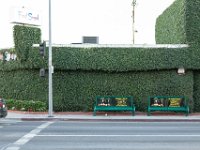 vw-November 08, 2019-00400