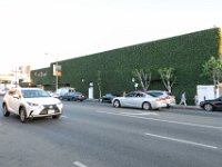 vw-November 08, 2019-00404