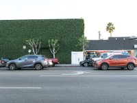 vw-November 08, 2019-00406