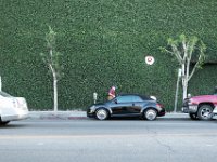 vw-November 08, 2019-00410