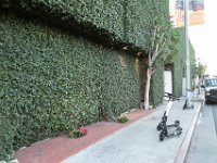 vw-November 08, 2019-00416