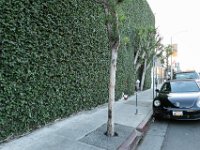 vw-November 08, 2019-00417