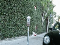 vw-November 08, 2019-00418