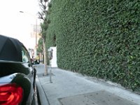 vw-November 08, 2019-00419